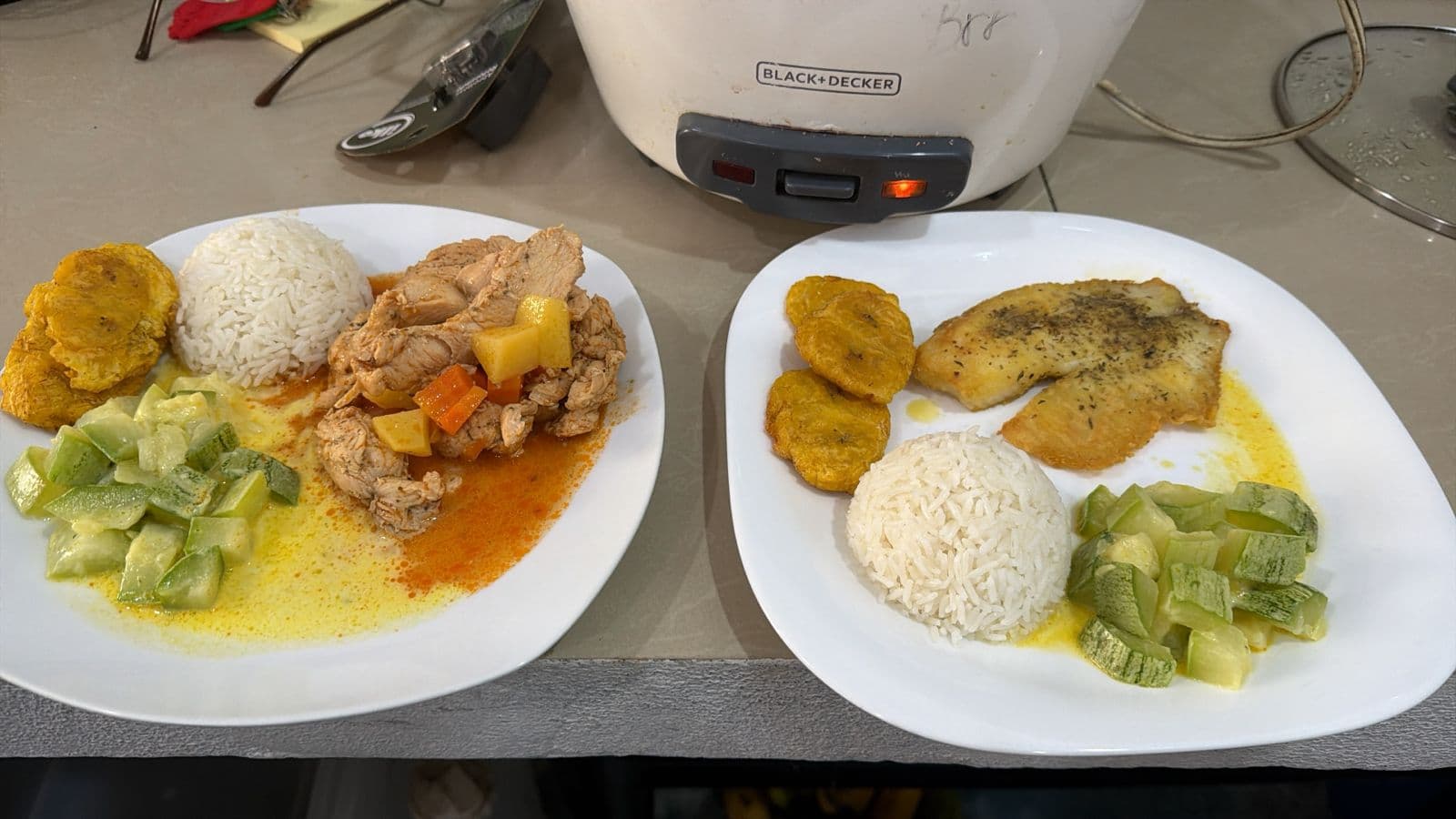 Chicken in creamy sauce and grilled fish fillet served with rice, plantains and zucchini at Hotel Serendipity Tortuguero